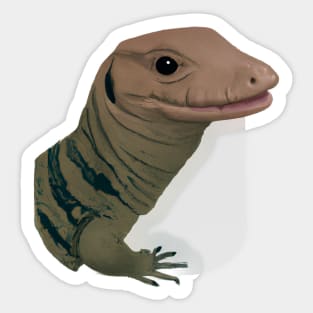 Cute Monitor Lizard Drawing Sticker